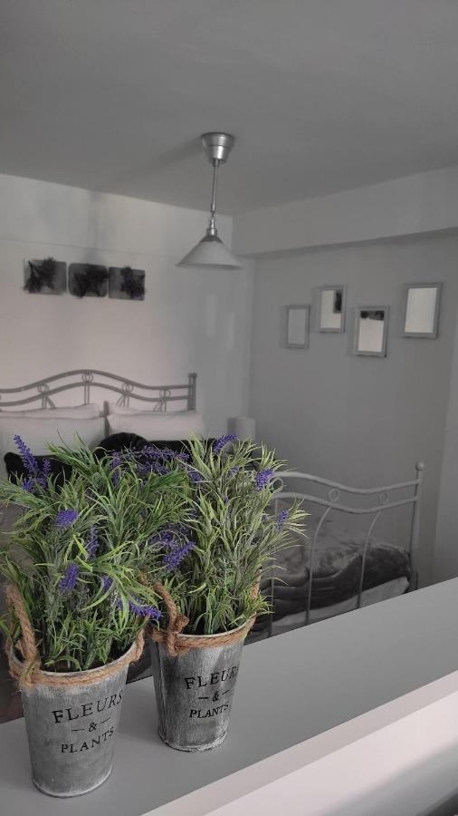 Lavender * Volos