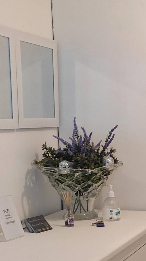 Apartment Lavender