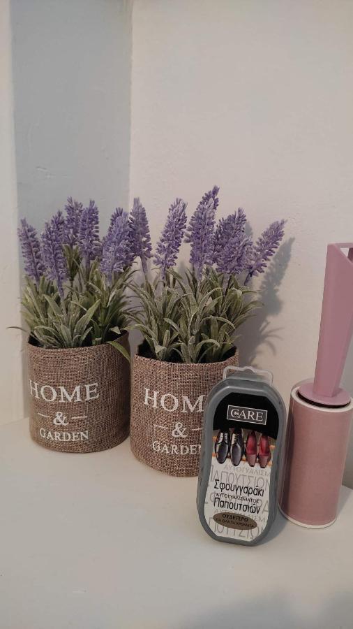 Apartment Lavender