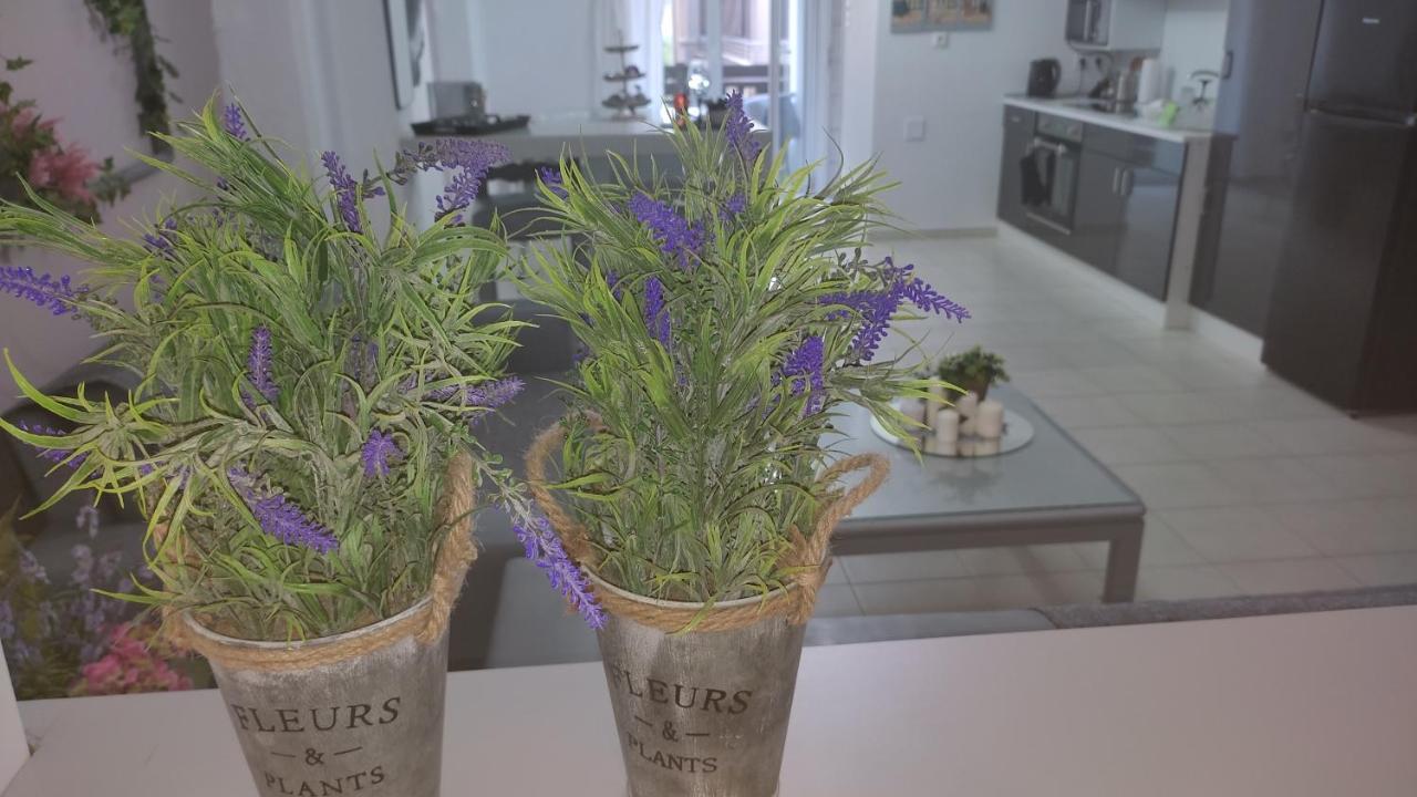 Lavender *