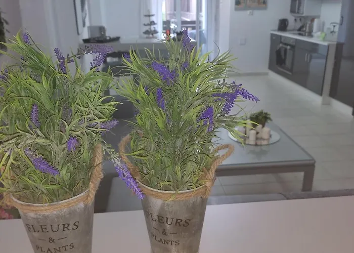 Lavender Home