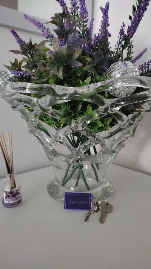 Lavender *